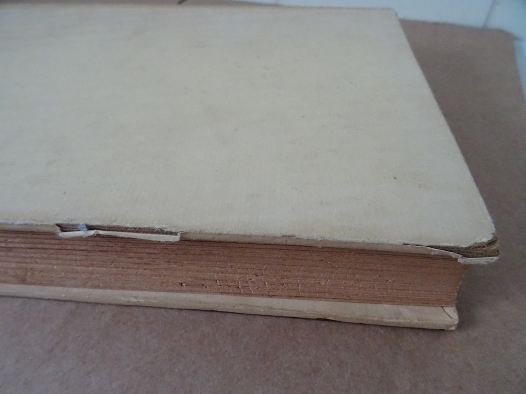 Avonturen in vacantietijd door Rein Valkhoff - Afbeelding 24
