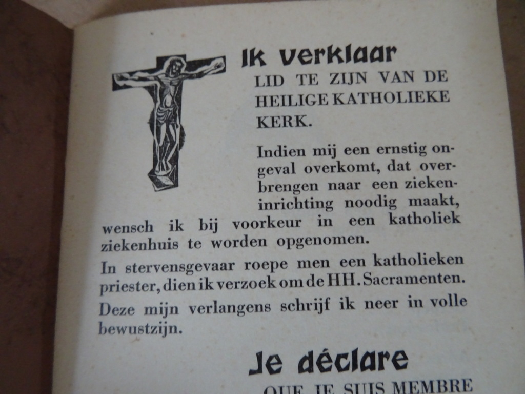 Antiek boekje De katholiek op reis - Afbeelding 3