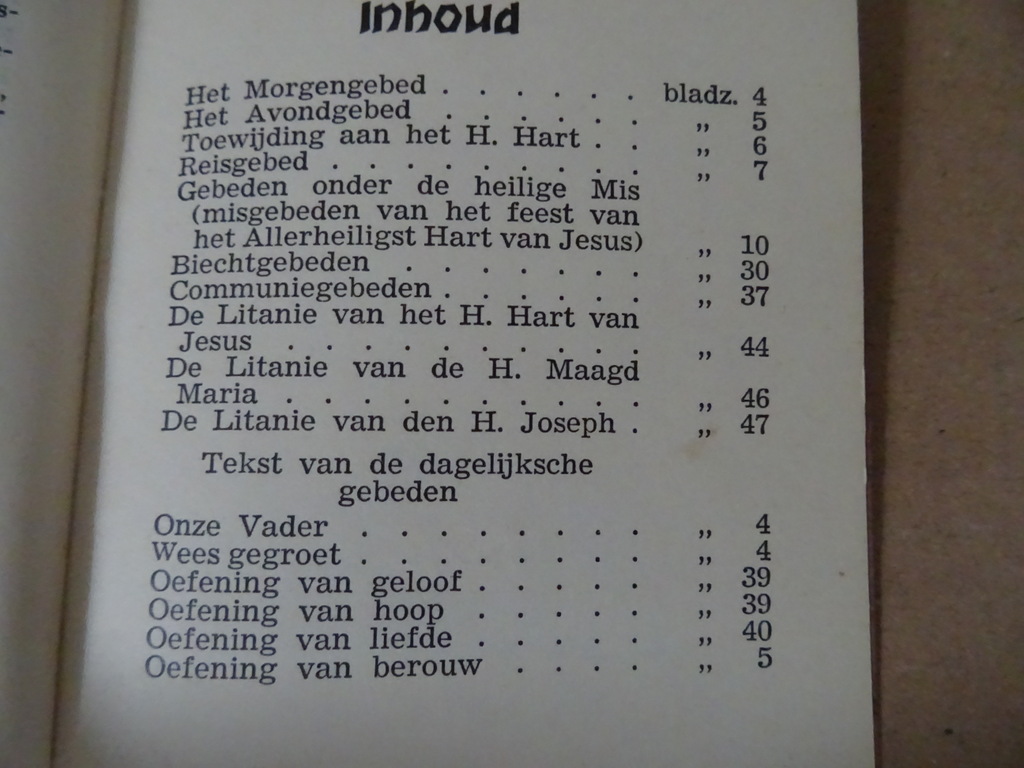Antiek boekje De katholiek op reis - Afbeelding 16