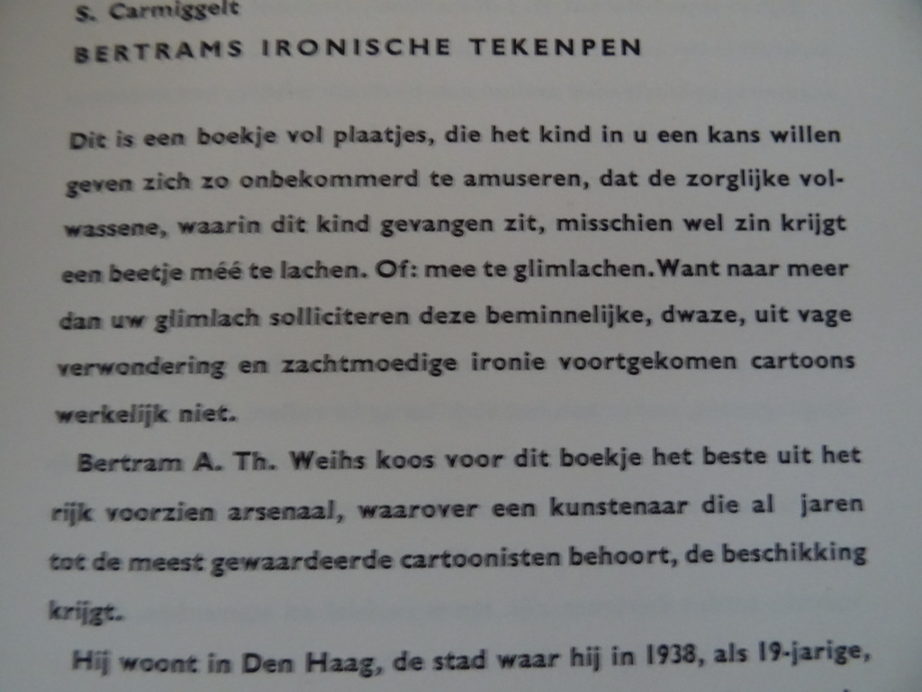 Bertram Bijna zonder woorden - Afbeelding 5