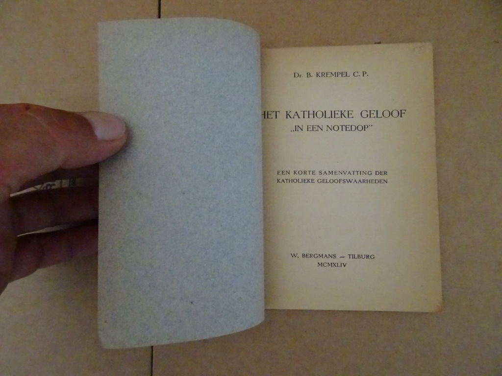 Het katholieke geloof in een notedop - Afbeelding 2
