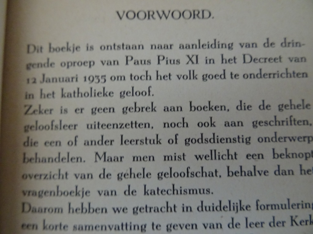 Het katholieke geloof in een notedop - Afbeelding 5