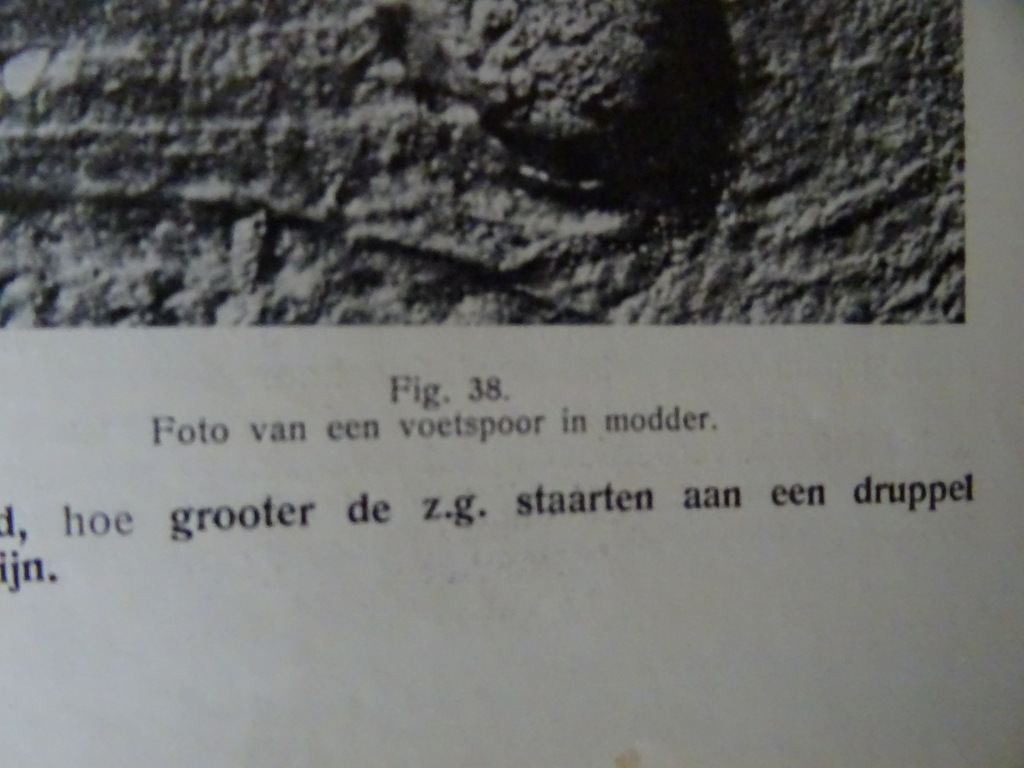 Antiek boekje Politie - Afbeelding 12
