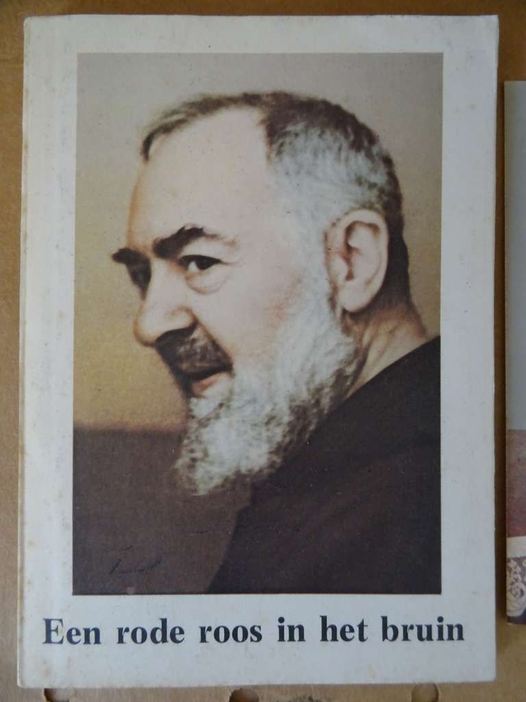 Boekje Padre Pio Een rode roos in het bruin - Afbeelding 2