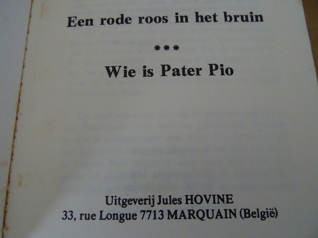 Boekje Padre Pio Een rode roos in het bruin - Afbeelding 4