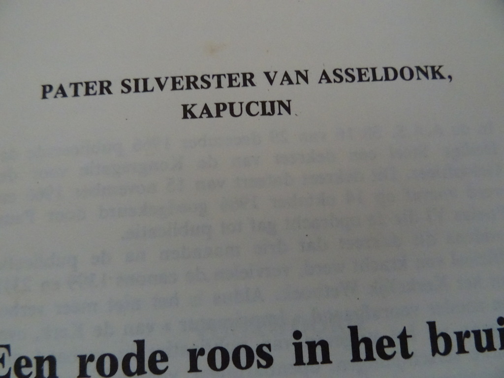 Boekje Padre Pio Een rode roos in het bruin - Afbeelding 5
