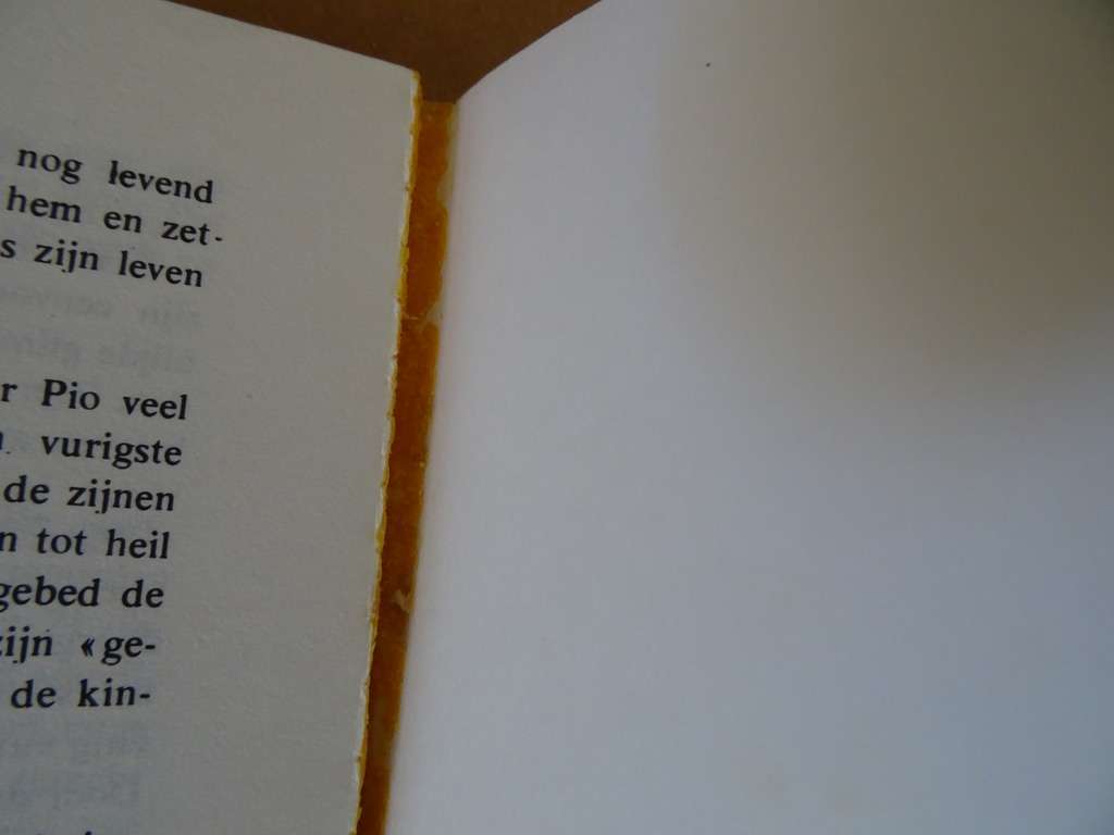 Boekje Padre Pio Een rode roos in het bruin - Afbeelding 15