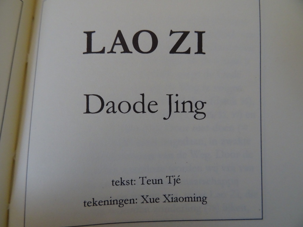 Lao Zi Daode Jing - Afbeelding 8