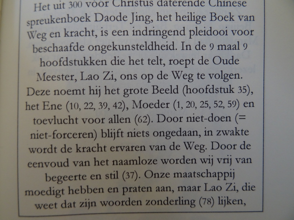 Lao Zi Daode Jing - Afbeelding 10