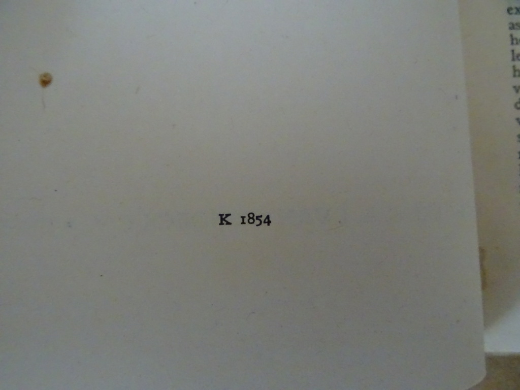 Katholieke poëzie na 1880 door Gerard Knuvelder - Afbeelding 6