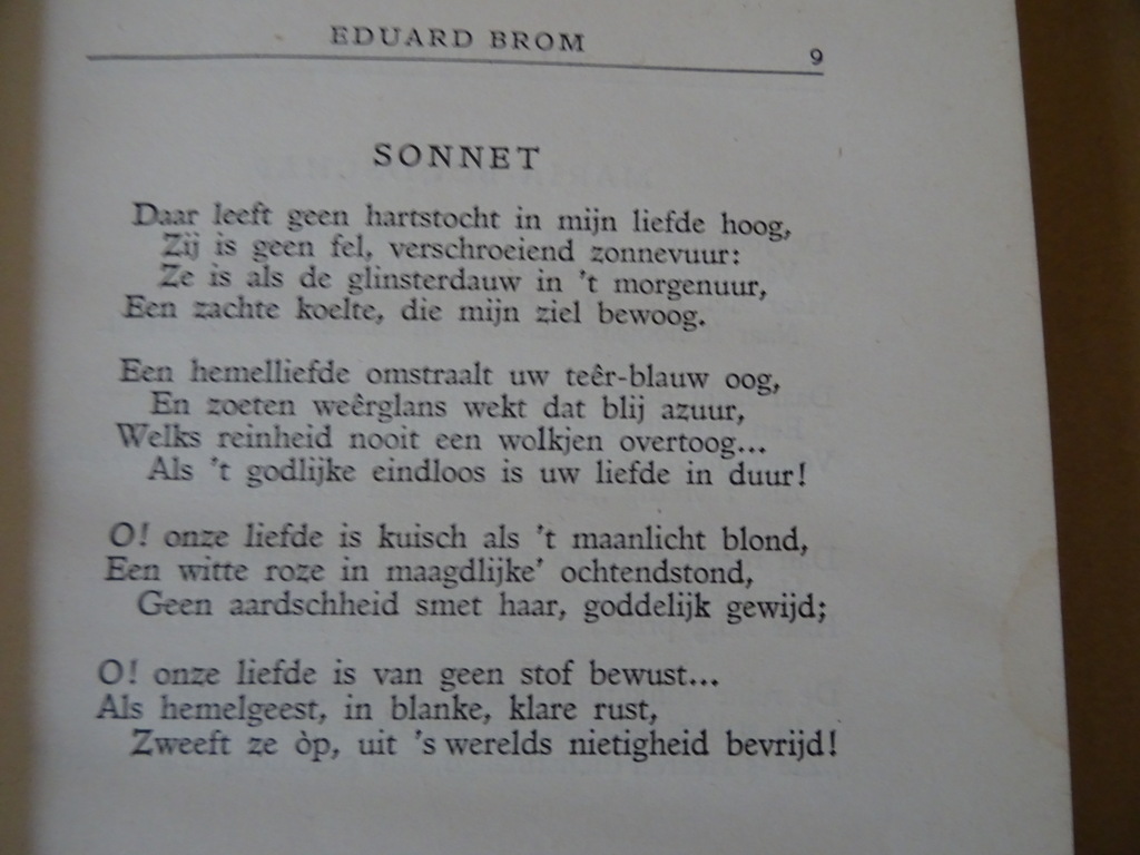 Katholieke poëzie na 1880 door Gerard Knuvelder - Afbeelding 9