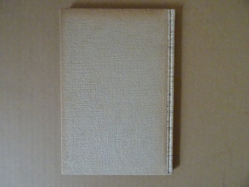 Katholieke poëzie na 1880 door Gerard Knuvelder - Afbeelding 16