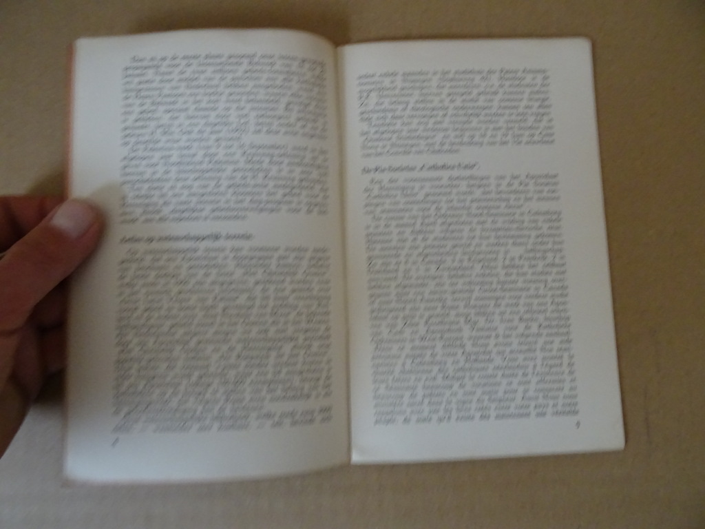 Antiek boekje Apostolaat der Hereniging - Afbeelding 6