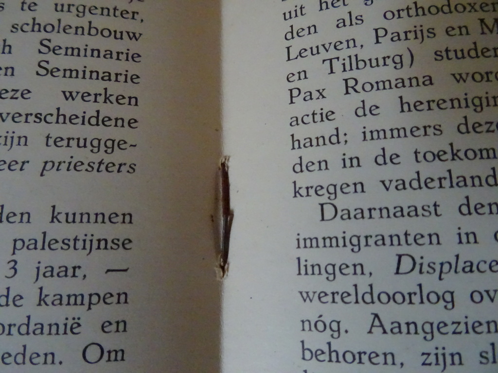 Antiek boekje Apostolaat der Hereniging - Afbeelding 9