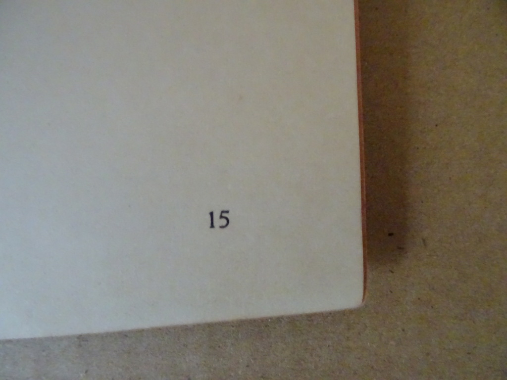 Antiek boekje Apostolaat der Hereniging - Afbeelding 11
