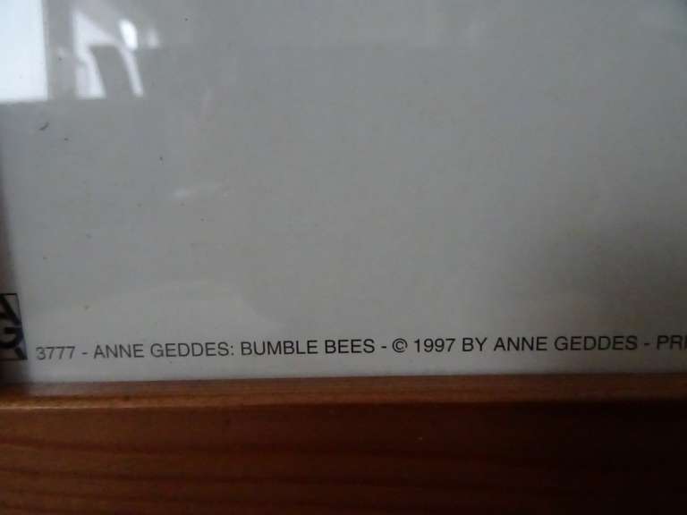 Anne Geddes poster 90x30cm