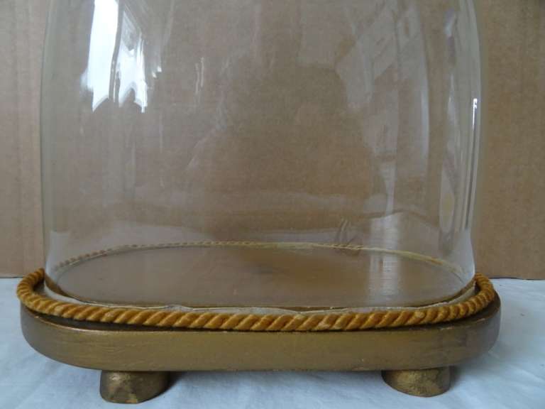 Vintage glazen stolp voor beeld 23 cm