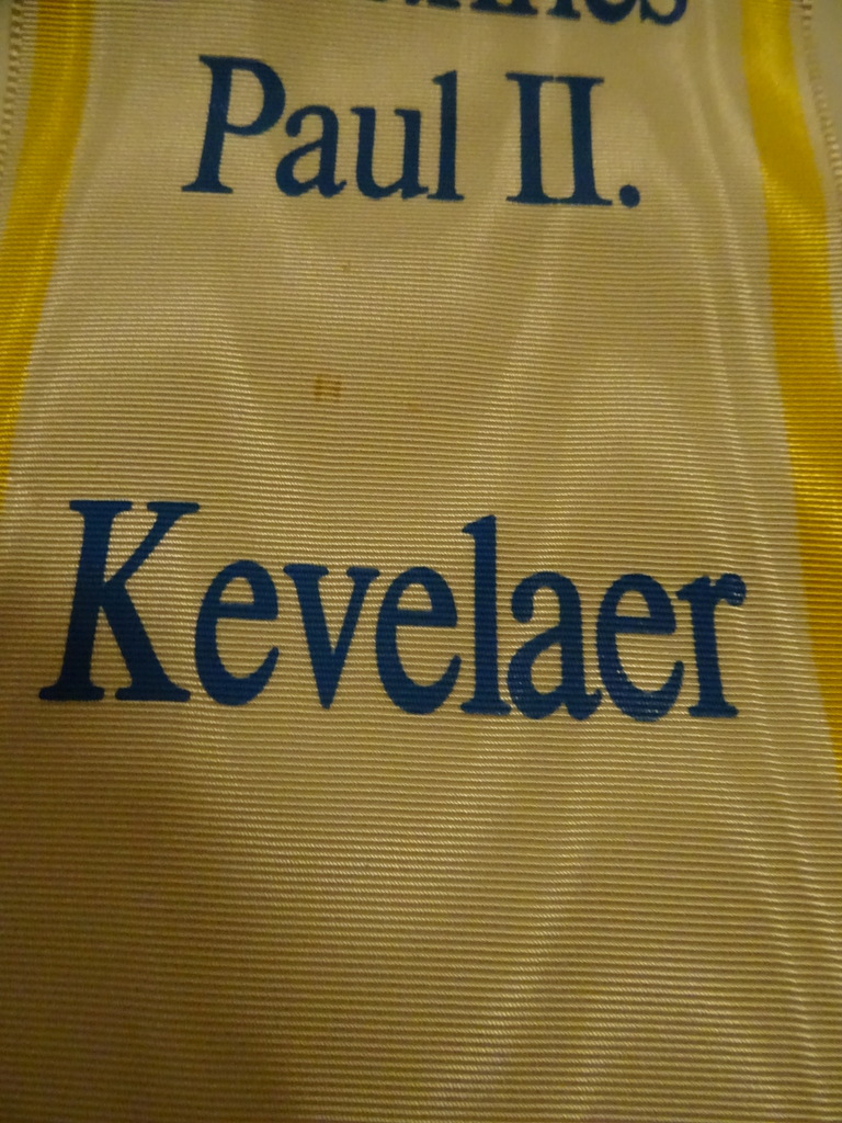 Vlag Totus Tuus Johannes Paulus II. Kevelaer - Afbeelding 8
