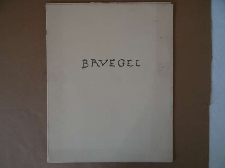Vintage boek Brueghel