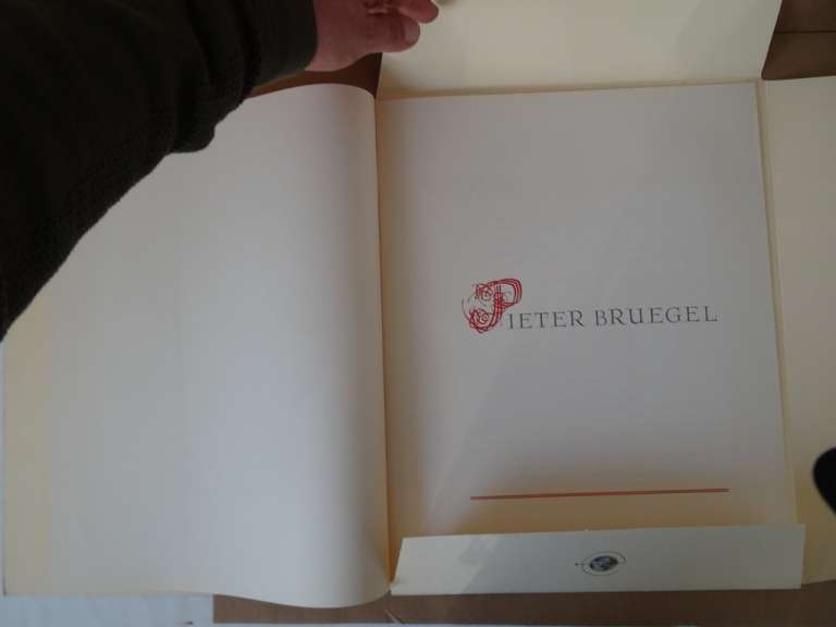 Vintage boek Brueghel