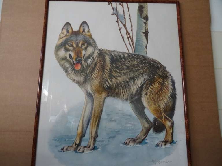 Schoolplaat Wolf poster uit 1969