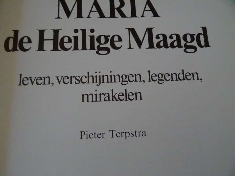 Pieter Terpstra Maria de Heilige Maagd