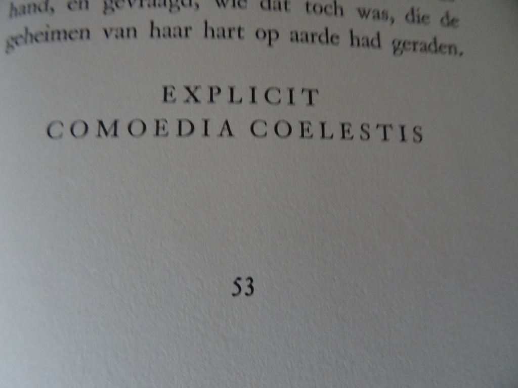 F. van der Meer Paasmorgen - Afbeelding 12
