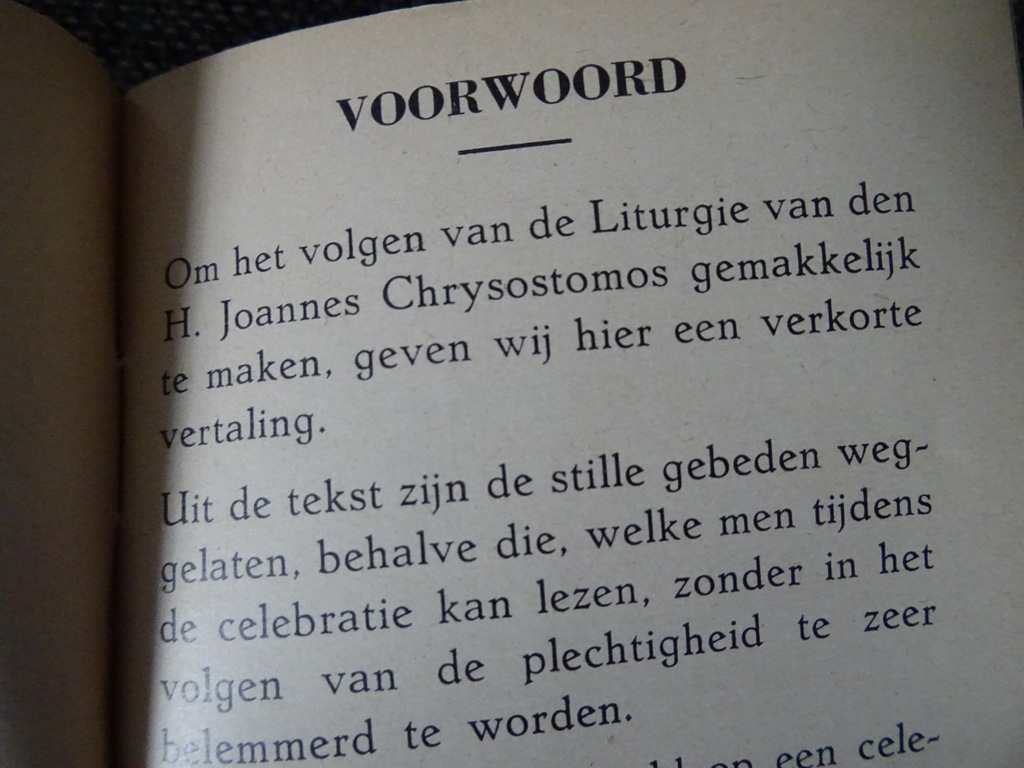 De goddelijke liturgie - Afbeelding 8