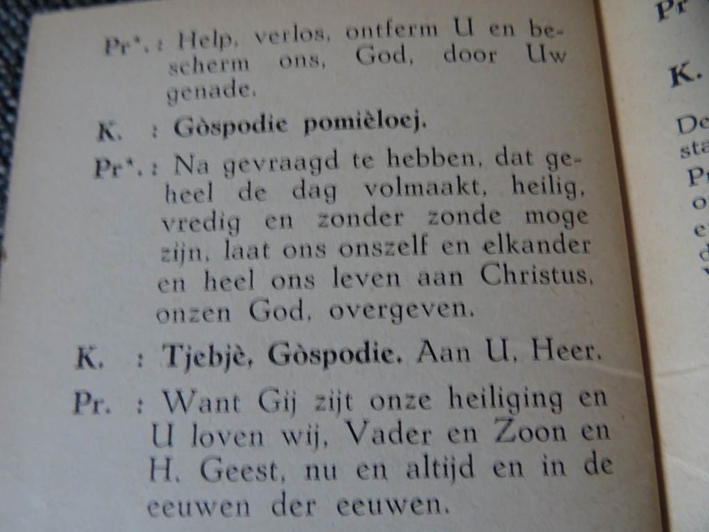 De goddelijke liturgie - Afbeelding 11