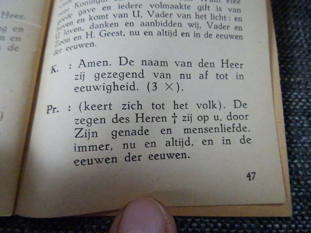 De goddelijke liturgie - Afbeelding 12