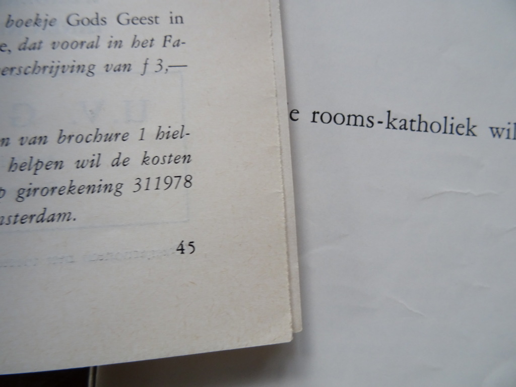 Louis Knuvelder Wij die Rooms-Katholiek willen blijven - Afbeelding 18
