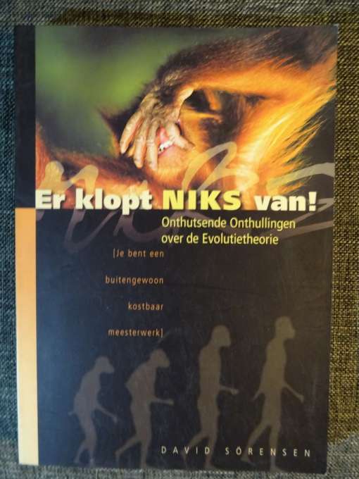 David Sorensen Er klopt niks van