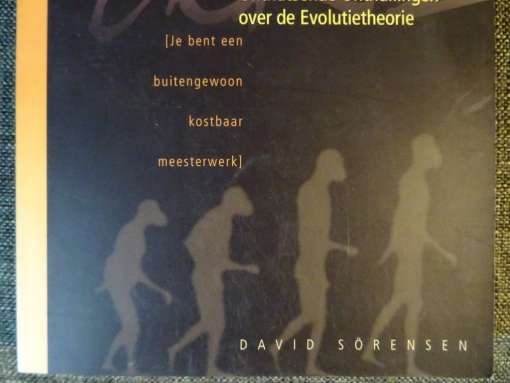 David Sorensen Er klopt niks van