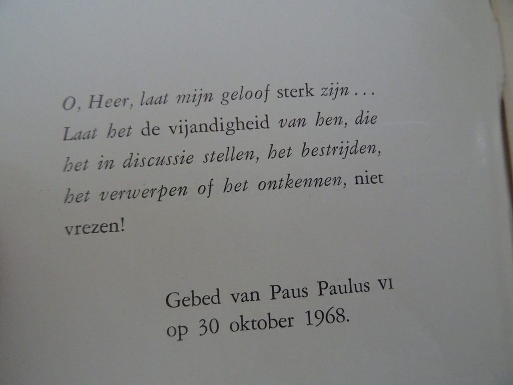 Louis Knuvelder Wij die Rooms-Katholiek willen blijven - Afbeelding 21