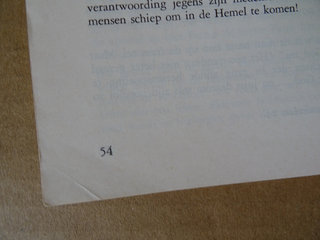 Louis Knuvelder Wij die Rooms-Katholiek willen blijven - Afbeelding 23