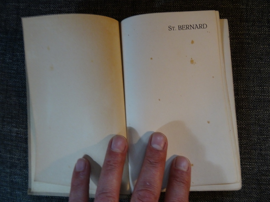 Anton van Duinkerken Uren met St. Bernard - Afbeelding 6