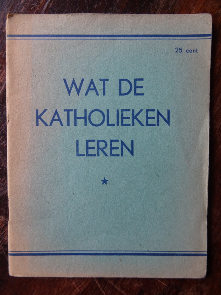 Wat de katholieken leren