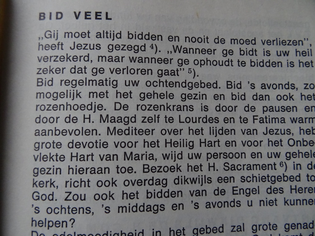 Vademecum voor de gelovige katholiek - Afbeelding 6