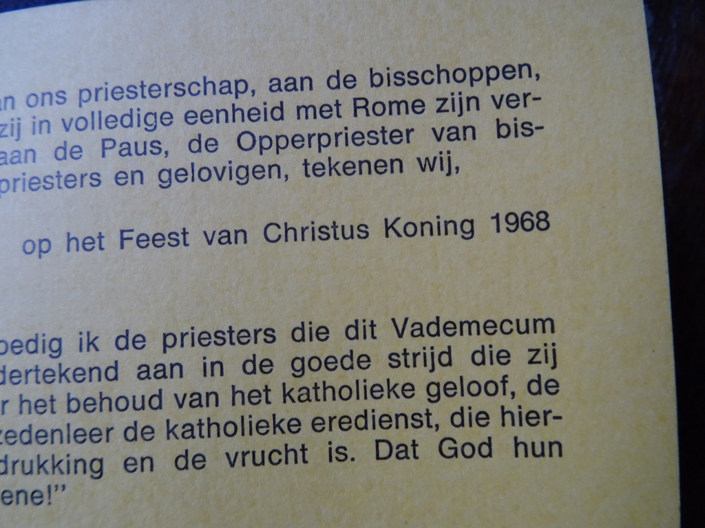 Vademecum voor de gelovige katholiek - Afbeelding 8