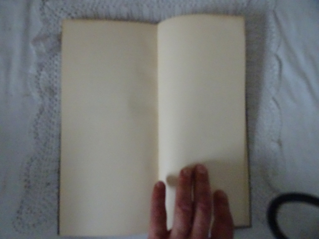Chr. Leeflang Hymnen uit de bijbel - Afbeelding 19