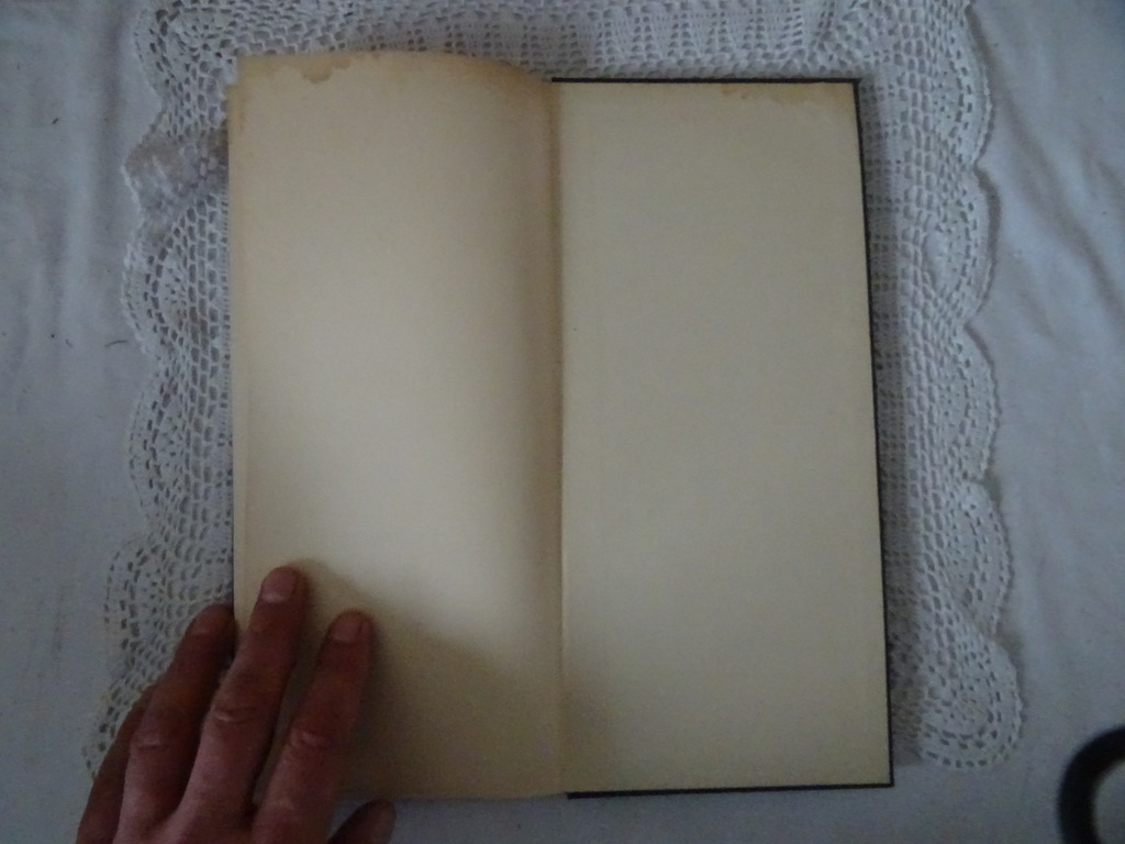 Chr. Leeflang Hymnen uit de bijbel - Afbeelding 21