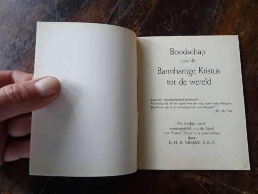 Boodschap van de barmhartige Kristus