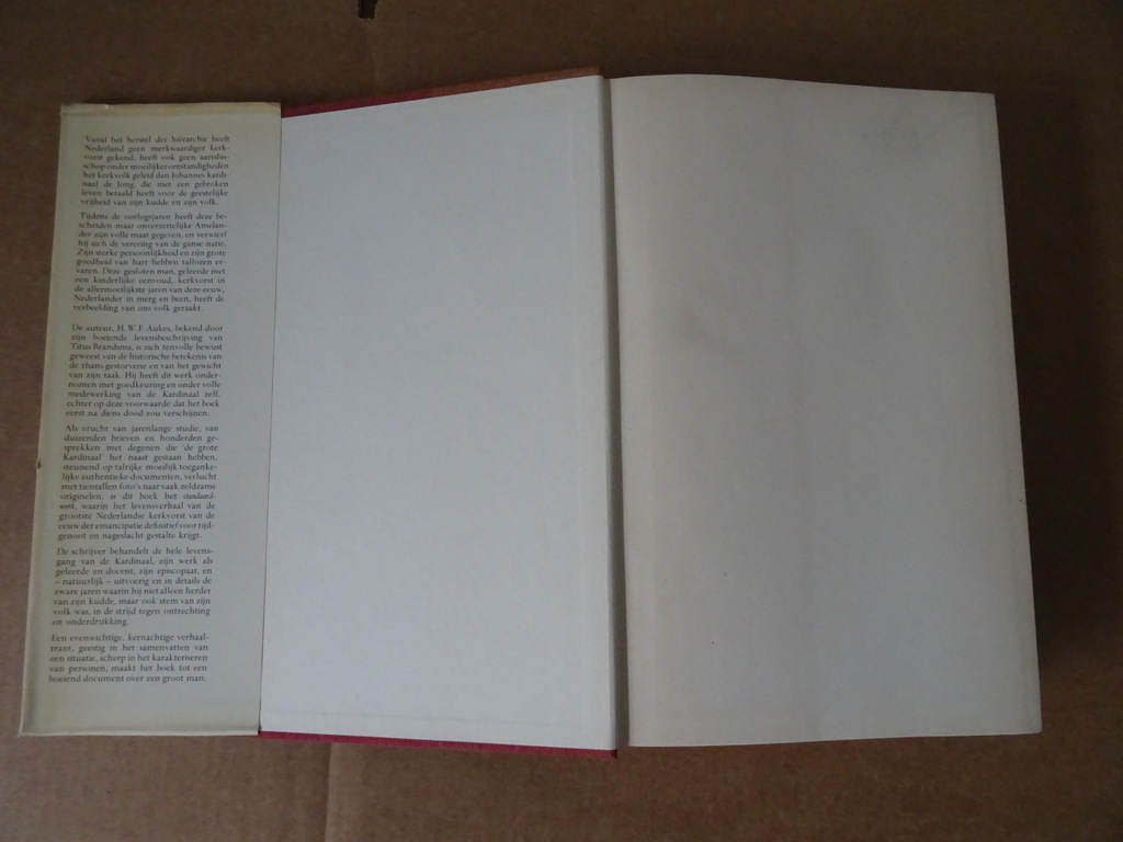 H.W.F. Aukes Kardinaal De Jong - Afbeelding 3