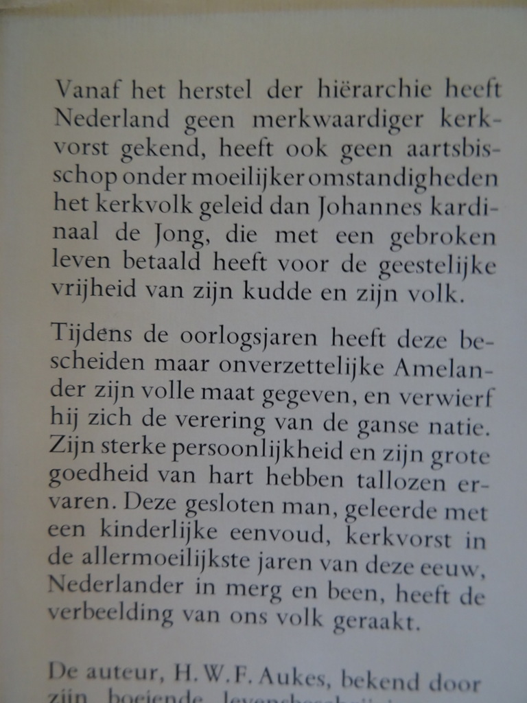 H.W.F. Aukes Kardinaal De Jong - Afbeelding 4