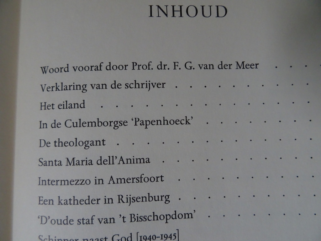 H.W.F. Aukes Kardinaal De Jong - Afbeelding 13