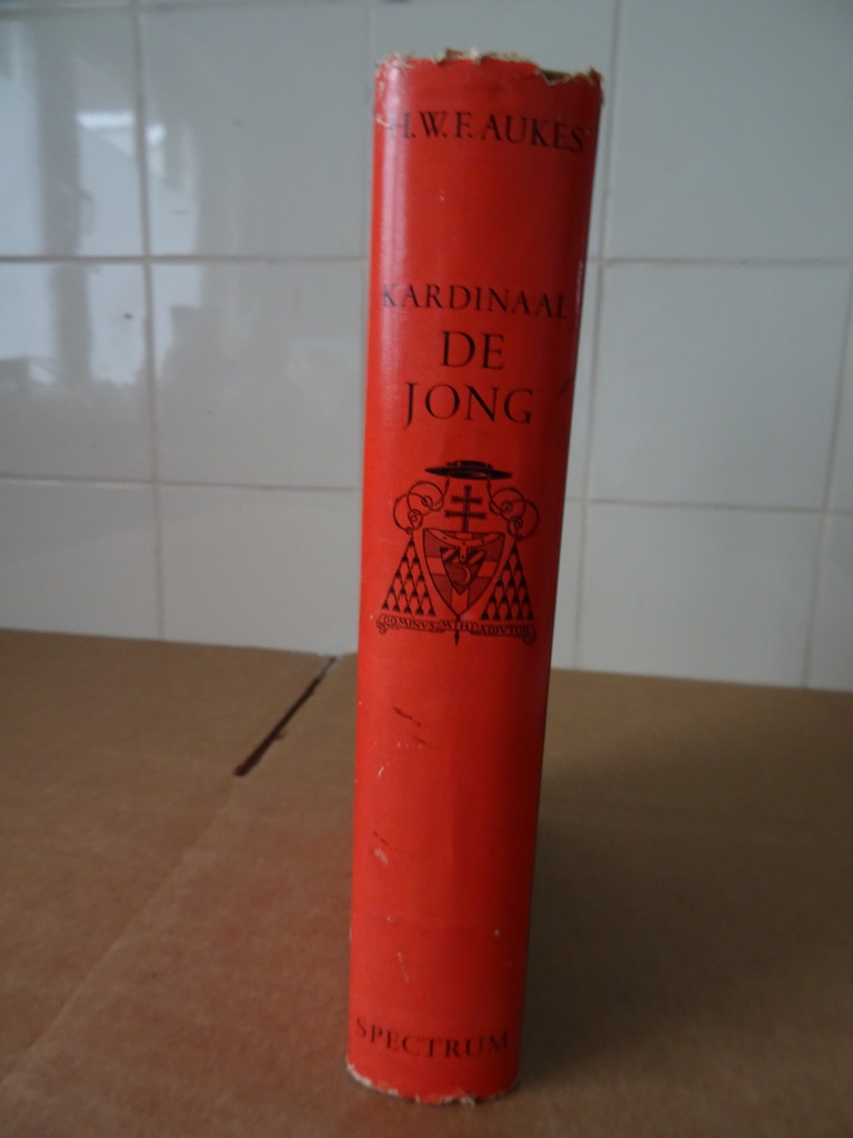 H.W.F. Aukes Kardinaal De Jong - Afbeelding 19