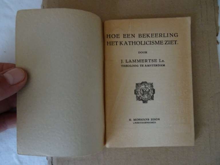 Alternative view of J. Lammertse Hoe een bekeerling katholicisme ziet