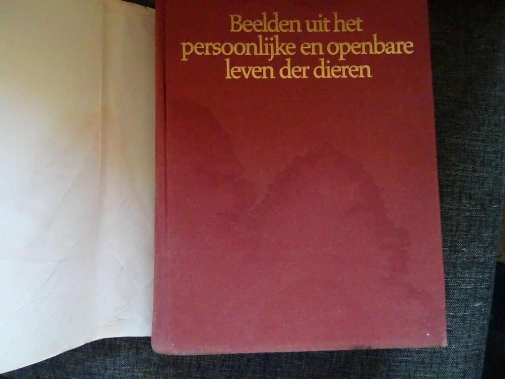 Beelden uit het persoonlijke en openbare leven der dieren - Afbeelding 8