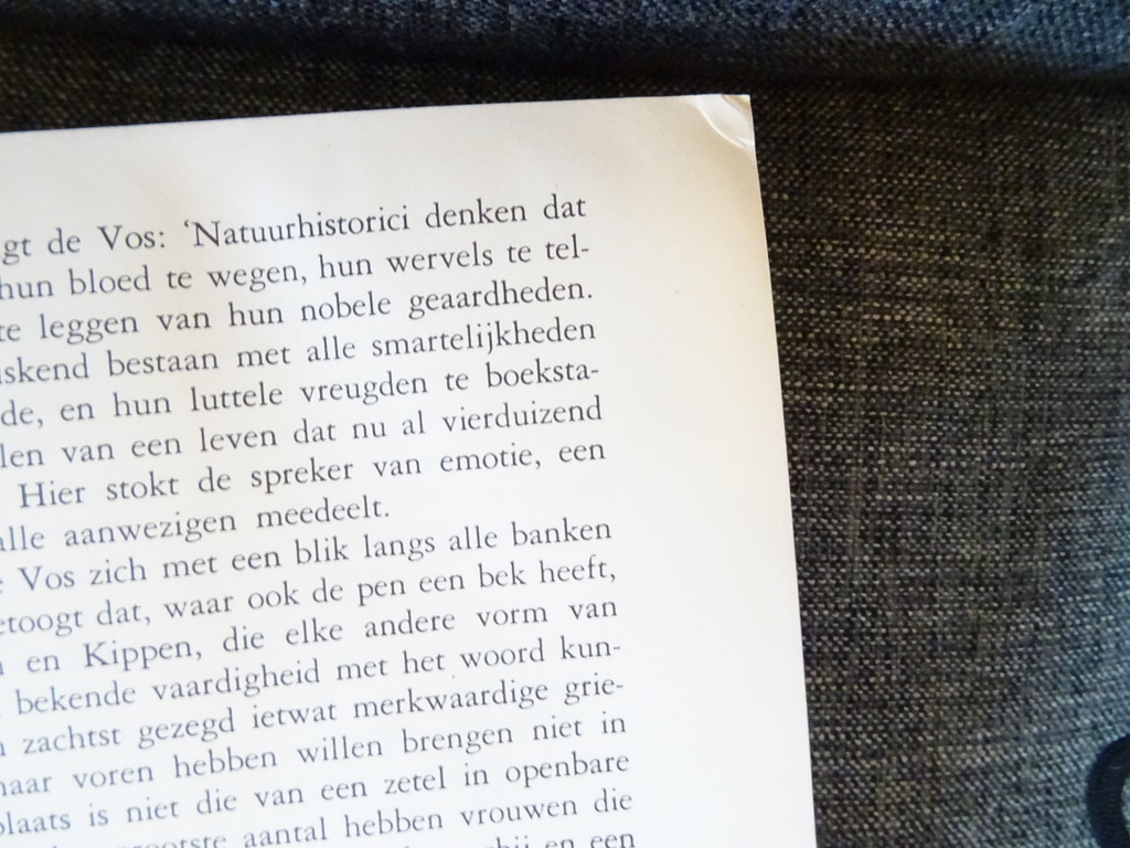 Beelden uit het persoonlijke en openbare leven der dieren - Afbeelding 25