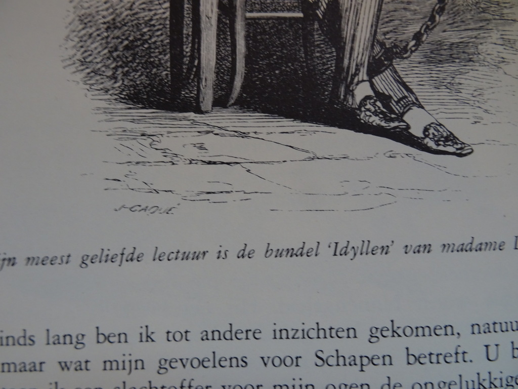 Beelden uit het persoonlijke en openbare leven der dieren - Afbeelding 29